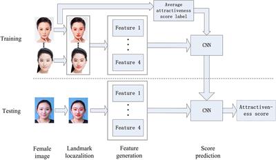 Data-Driven Research on the Matching Degree of Eyes, Eyebrows and Face Shapes